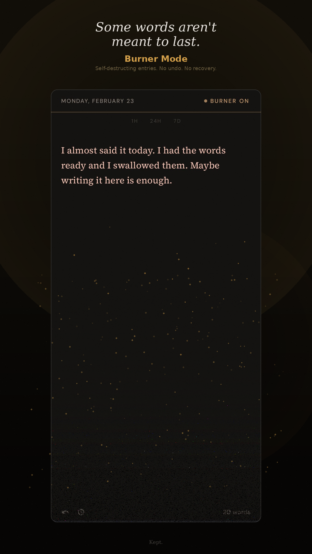 Burner Mode — self-destructing entries